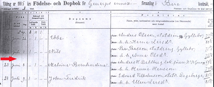 Exempel p&aring; f&ouml;delse- och dopbok