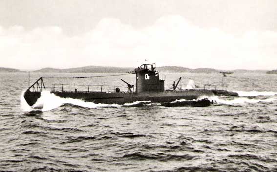 Delfinen
