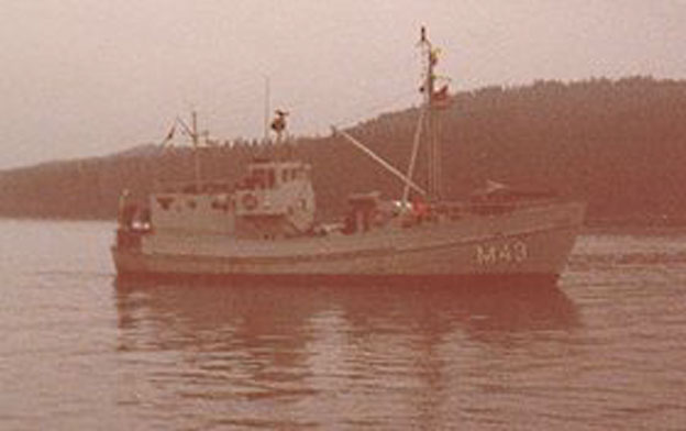 Svartl&ouml;ga